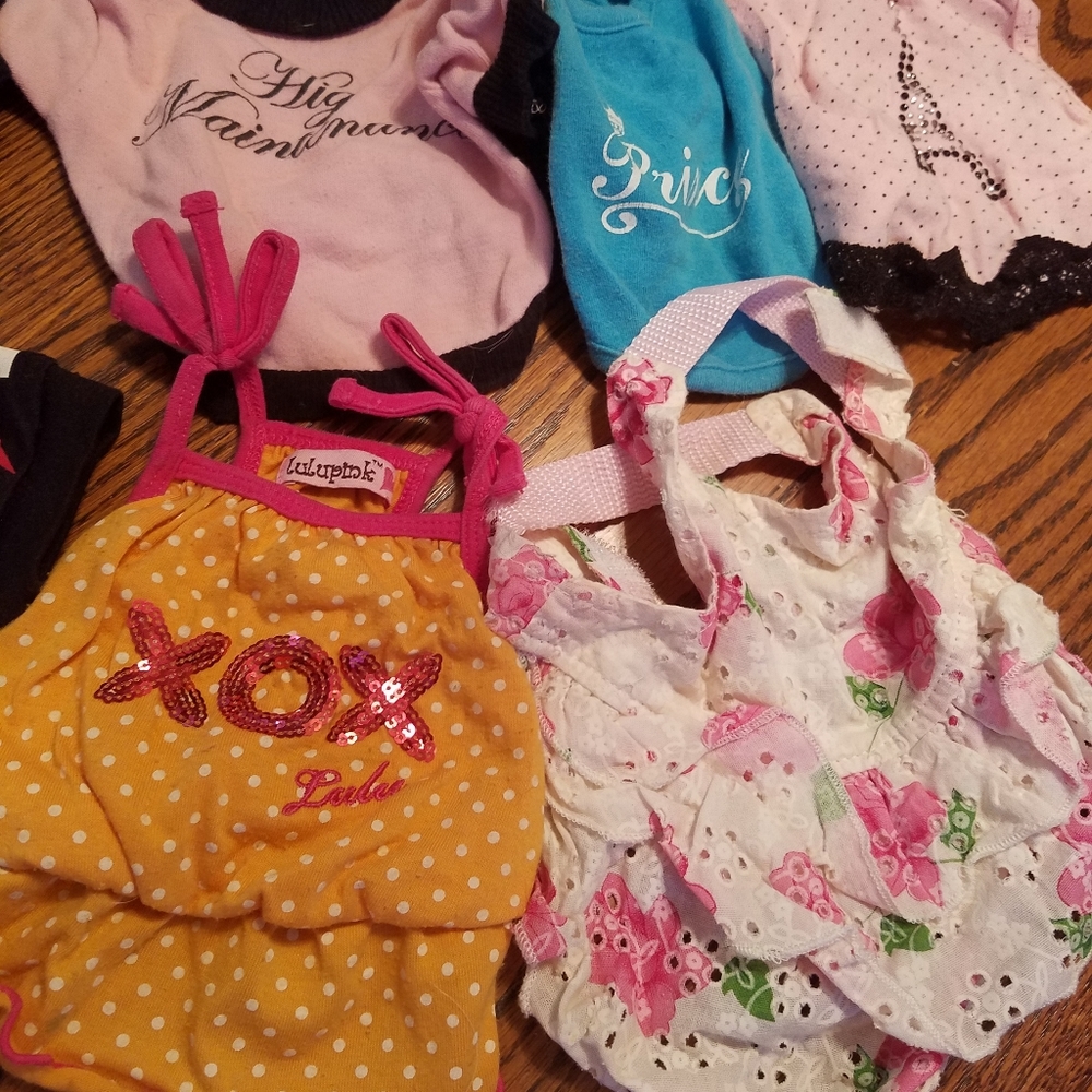 Dog clothes
